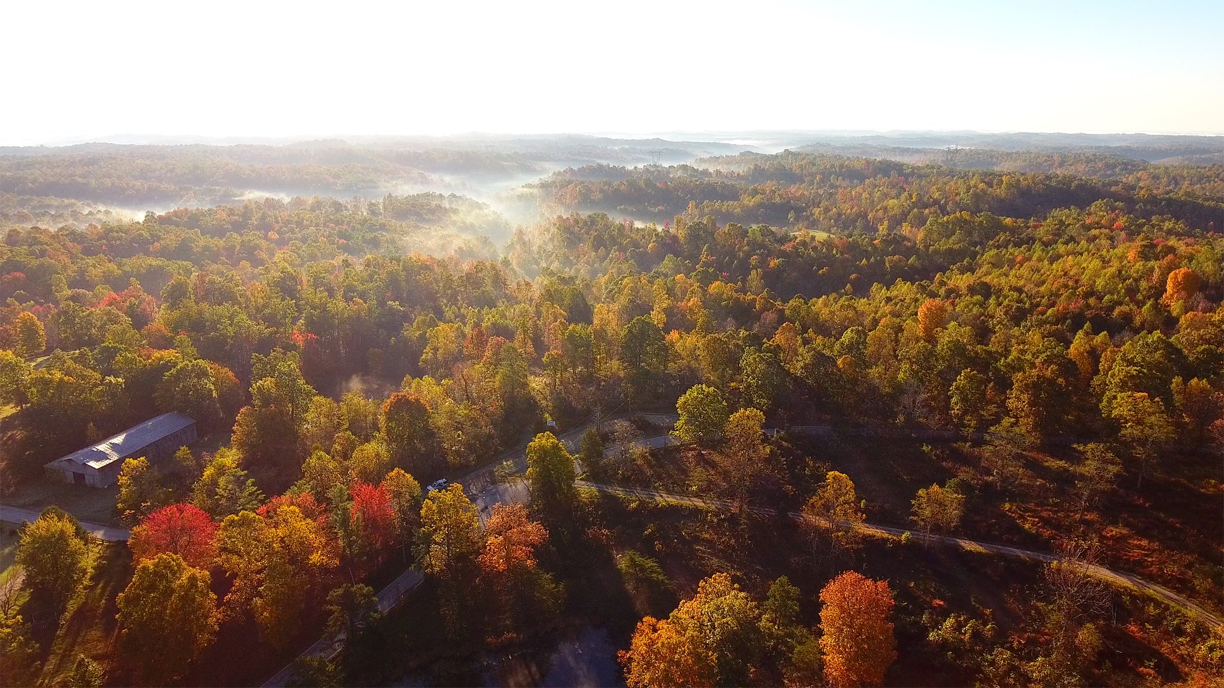 Property photo 21 - LAND AUCTION - 1,682+/- ACRES OFFERED IN 17 TRACTS IN LEWIS & GREENUP COUNTIES, KENTUCKY